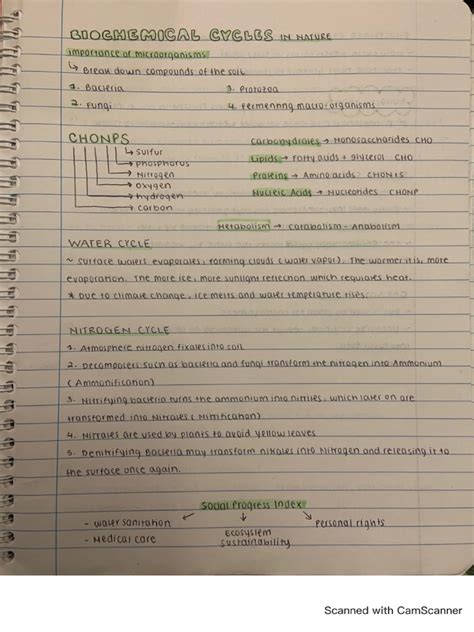 Biogeochemical Cycles | PDF