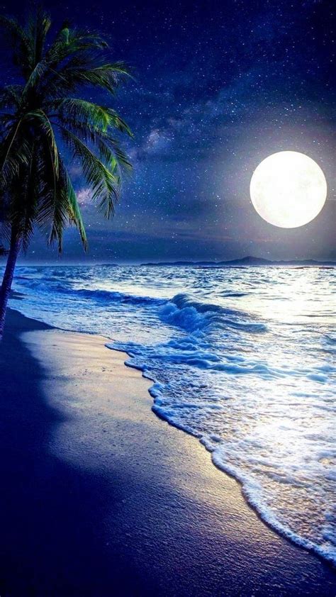 A Full Moon Over The Ocean With Palm Trees On The Beach And Waves In