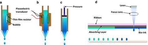 Common Types Of Bioprinting Methods A Thermal Inkjet Based Bioprinting