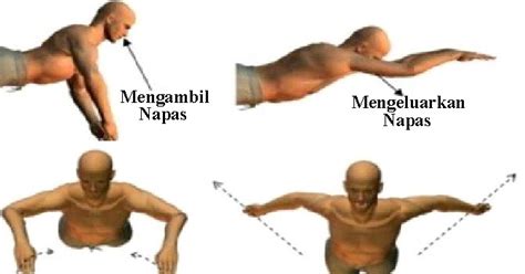 Teknik Pernapasan Renang Gaya Dada Beserta Latihannya Penjasorkes