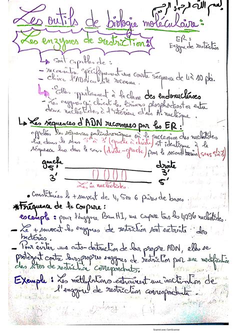 SOLUTION Les Outils De La Biologie Mol Culaire 1 Studypool