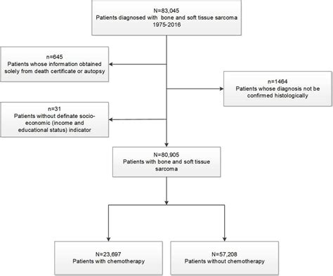 Flowchart Describing Initial Dataset And Exclusions Leading To Final