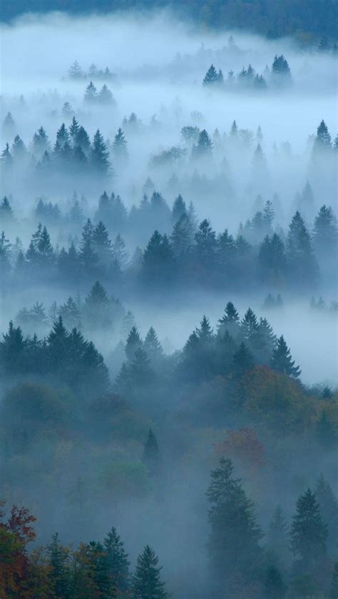 Lago En Bosque Con Niebla Fondo De Pantalla K Ultra Hd Id Images