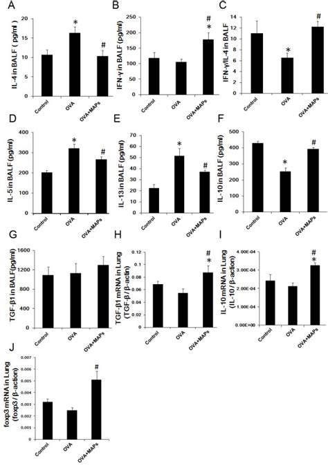 The Levels Of Cytokines In Balf And In The Lung Ova323 339map