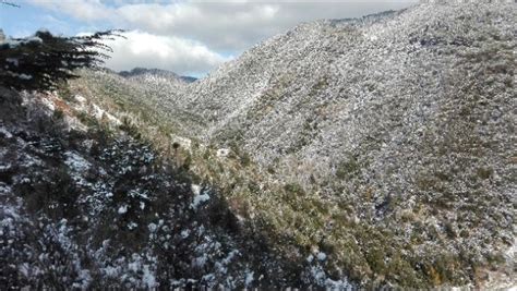 Maltempo Intense Nevicate E Forte Vento In Calabria Gazzetta Di Parma