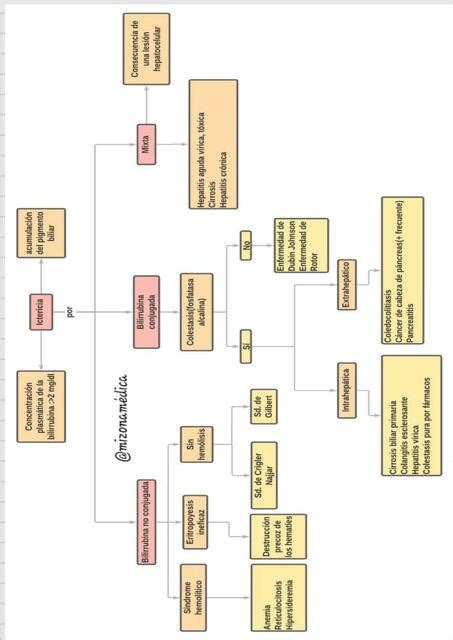 Ictericia | Mizonamédica | uDocz