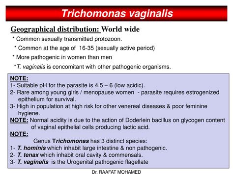 Ppt Trichomonas Vaginalis Powerpoint Presentation Free Download Id3013018