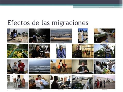 Los FenÓmenos Migratorios