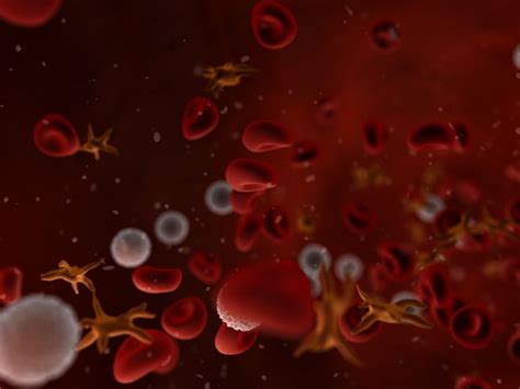 Gene Therapy Effective At Treating Hemophilia B | HuffPost Life