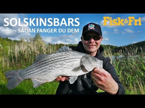 Ny Video Solskinsbars S Dan Fanger Du Dem Fisk Fri