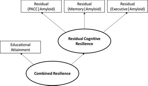 Sex Differences In The Genetic Architecture Underlying Resilience In Ad Eissman 2021