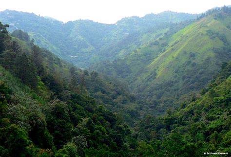 Trip to Kingston, Jamaica & the Blue Mountains - Sept 2010 (7 of 75)