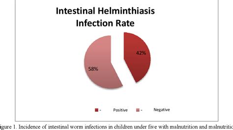 Figure 1 From Incidence Model Of Intestinal Helminthiasis Infections In