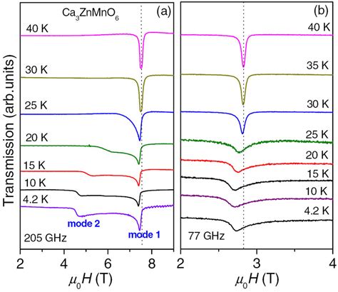 Temperature Dependent ESR Spectra Measured At 77 And 205 GHz