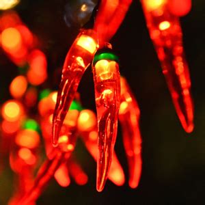 Behiller Ft Led Garden Solar Christmas Lights Outdoor Red Chili