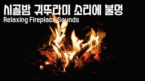 ASMRㅣ잠잘오는 모닥불 장작타는소리 귀뚜라미소리ㅣthe sound of a sleeping bonfireㅣ집중력향상