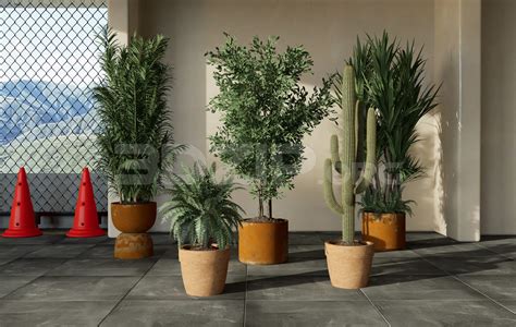 11679. Free 3Ds Max Plants Models Download