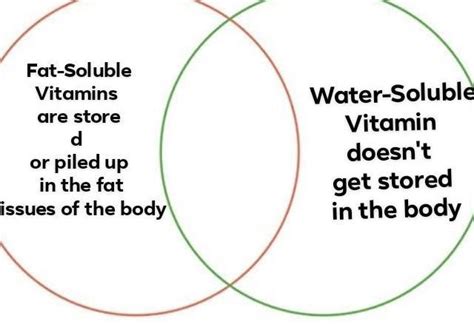 Differentiate Fat Soluble And Water Soluble Vitamins With The Use Of