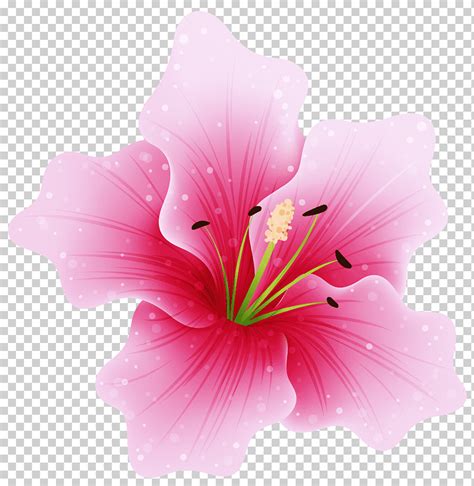 Descarga Gratis Flores Rosadas Flor Rosa Grande Ilustraci N De Flor