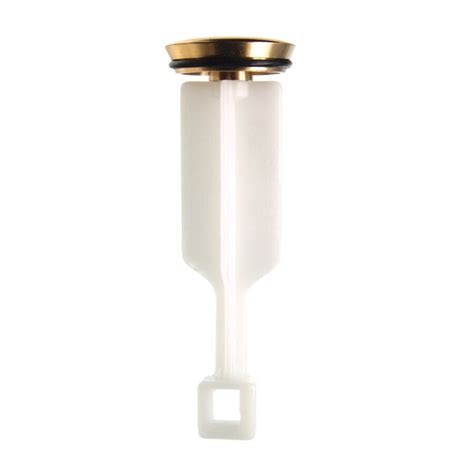 Shop Danco Polished Brass Pop Up Drain Stopper At