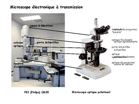 Microscope Lectronique Transmission Canon Lectrons Source De De