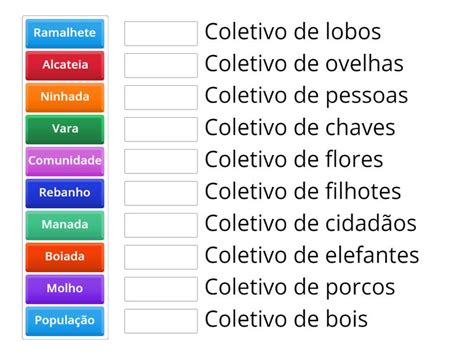 Substantivo Coletivo De Boi - 7
