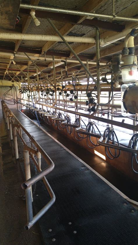 Orefuwa Abib Olakunle On Twitter Milking Machine