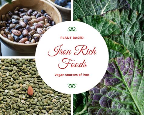 Iron Rich Foods Vegan Sources Of Iron Tina Redder True Food