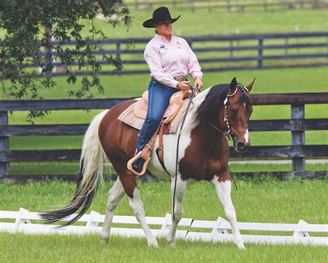 Western Dressage Tips - - The Northwest Horse Source