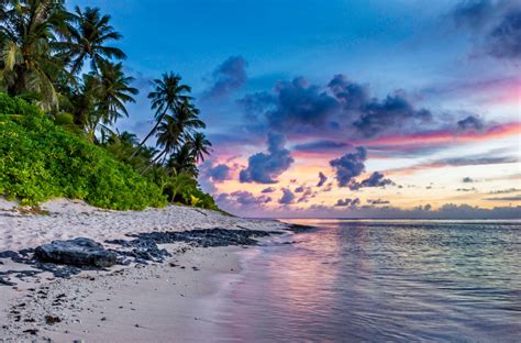 Free Images Landscape Sea Coast Tree Nature Rock Ocean Horizon