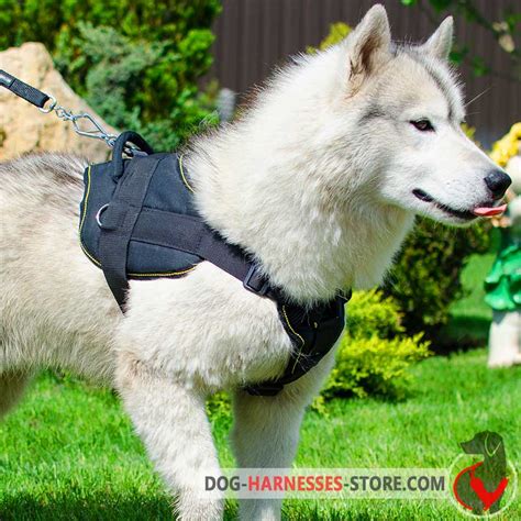 Multifunctional Nylon Siberian Husky Harness With Chest Plate H12