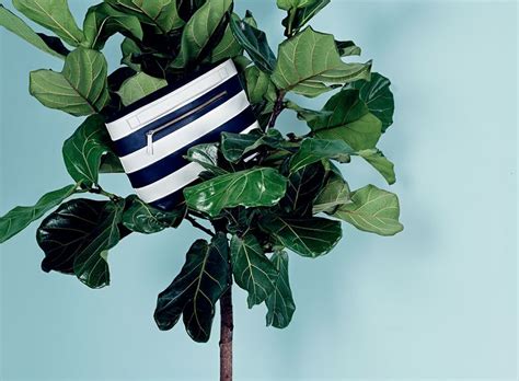 J Crew Collection Want Les Essentials De La Vie For J Crew Stripe