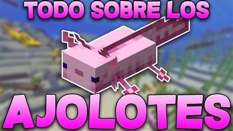 Todo Sobre Los Ajolotes Minecraft Youtube