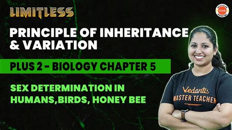 Plus Two Biology Principle Of Inheritance Sex Determination In