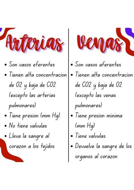 Arterias Vs Venas Udocz