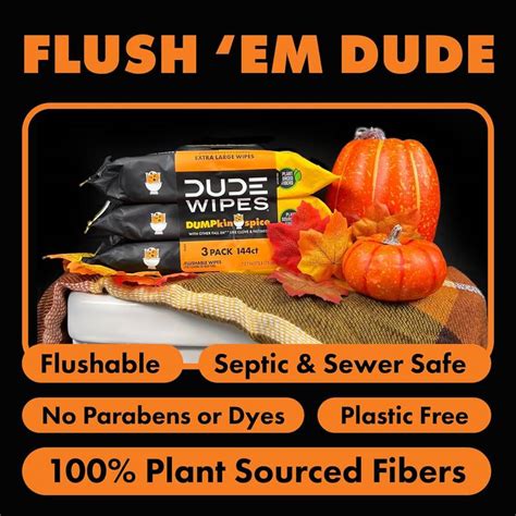 DUDE Wipes DUMPkin Spice 3pk Delivered In As Fast As 15 Minutes Gopuff