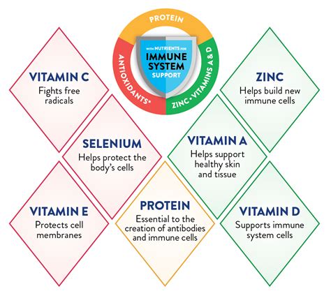 Nutrition For Growth And Immune Support Infographic