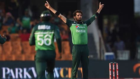 Shaheen Afridi will take most wickets in World Cup 2023 - ETNews