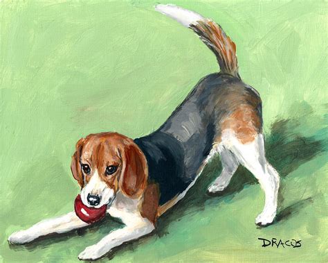 Beagle With Red Ball On Green Painting By Dottie Dracos Pixels