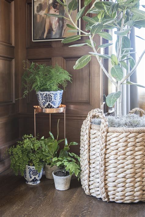 The Home Depot Plant Guarantee | POPSUGAR Home