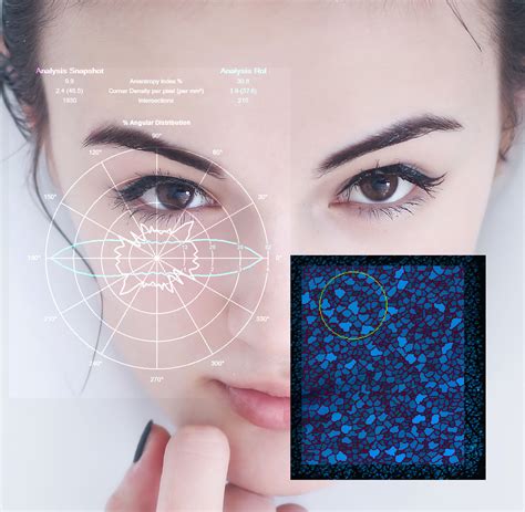 New Epsilon™ Software Version 3 - Biox Systems Ltd