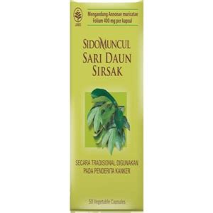 7 Obat Herbal Untuk Asam Urat Yang Ampuh Meredakan Nyeri Sendi