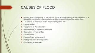 Flood | PPT | Free Download