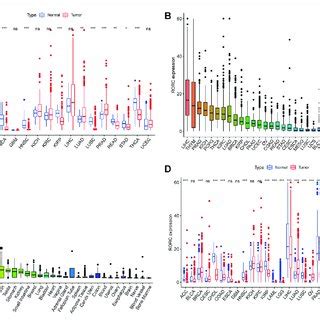 Rorc Mutation And Methylation Analysis In Various Cancers Rorc