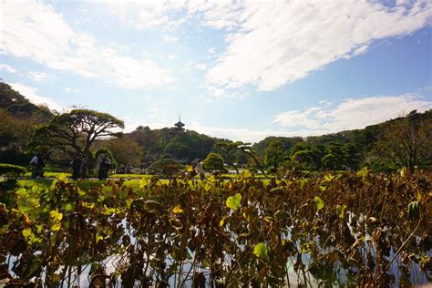 A Visit to Sankeien Garden in Yokohama