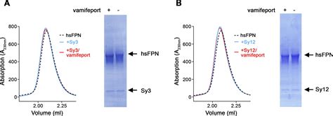 Figures and data in Structures of ferroportin in complex with its ...