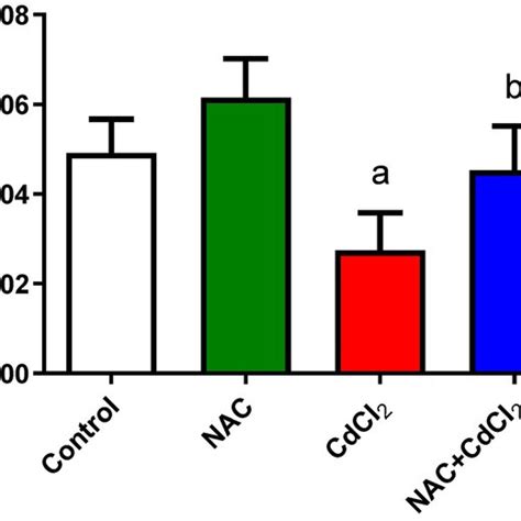 The Effect Of NAC And Or CdCl2 Administered On LPO NO And GSH Levels