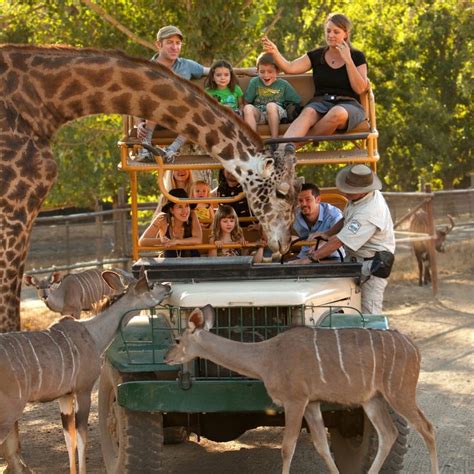 Safari West Wildlife Preserve And African Tent Camp National Parks Trip