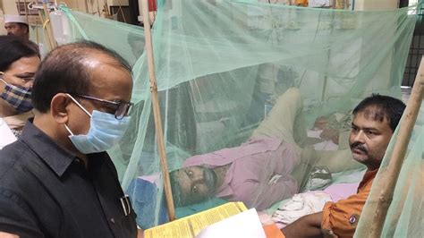 Dengue Outbreak More In Teliarganj Area 201 Dengue Patients Have Been Found In The Urban Areas