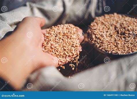 Muitos Tipos De Sementes De Arroz No Saco No Mercado Foto De Stock